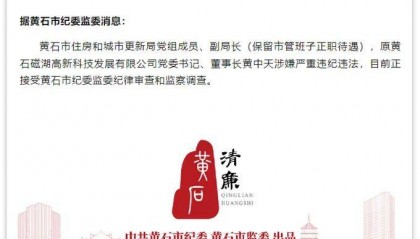 湖北3人被查