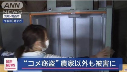 米太贵！日本人在米袋里放GPS防偷