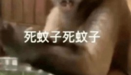 能不能让蚊子彻底灭绝啊？科学家：正在努力