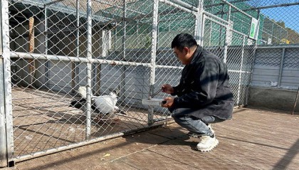 内蒙古阿荣旗：林海深处的“生命驿站”