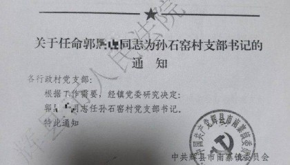 上游调查｜“村书记”连10+10都不会算，假红头文件藏着 “顶包” 的鬼