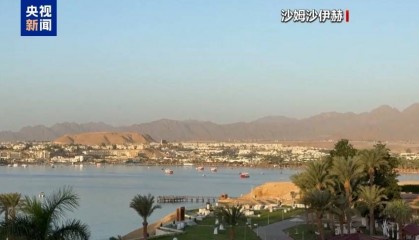 哈马斯、普京最新发声！