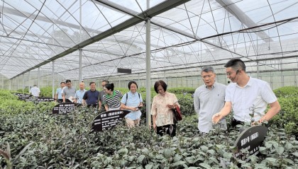 广西壮族自治区政协副主席彭健铭来雅考察调研