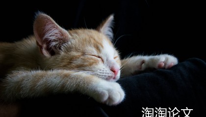 cip书号是什么意思？