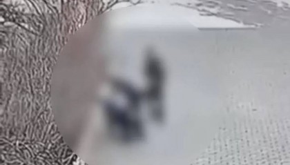 多地网友给打小学生的副所长邮寄锦旗？相关店铺回应：确实比较多