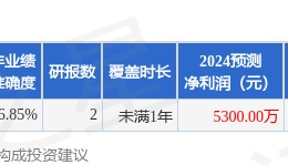 西南证券：给予世纪天鸿增持评级