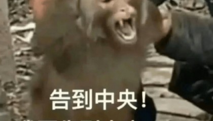 新型鬼秤冲上热搜！多平台已出现！律师提醒→