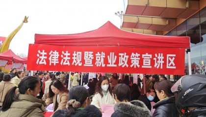 搭乘春风招聘便车 开展仲裁巾帼志愿行