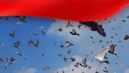 伟大胜利光耀千秋——中国人民抗日战争暨世界反法西斯战争胜利80周年纪念活动启示录（一）
