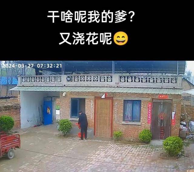 “原来年兽是我自己”，监控记录下中国人过年的聚散：像做了一场热闹的梦