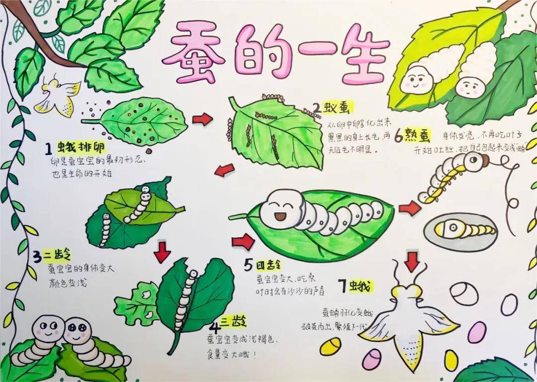 一年卖出1亿条虫！迷倒全国“10后”的小生意，有人年入千万