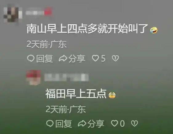 “周末想睡个懒觉都不行”，有多少深圳人被这种鸟吵到神经衰弱