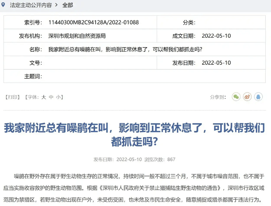 “周末想睡个懒觉都不行”，有多少深圳人被这种鸟吵到神经衰弱