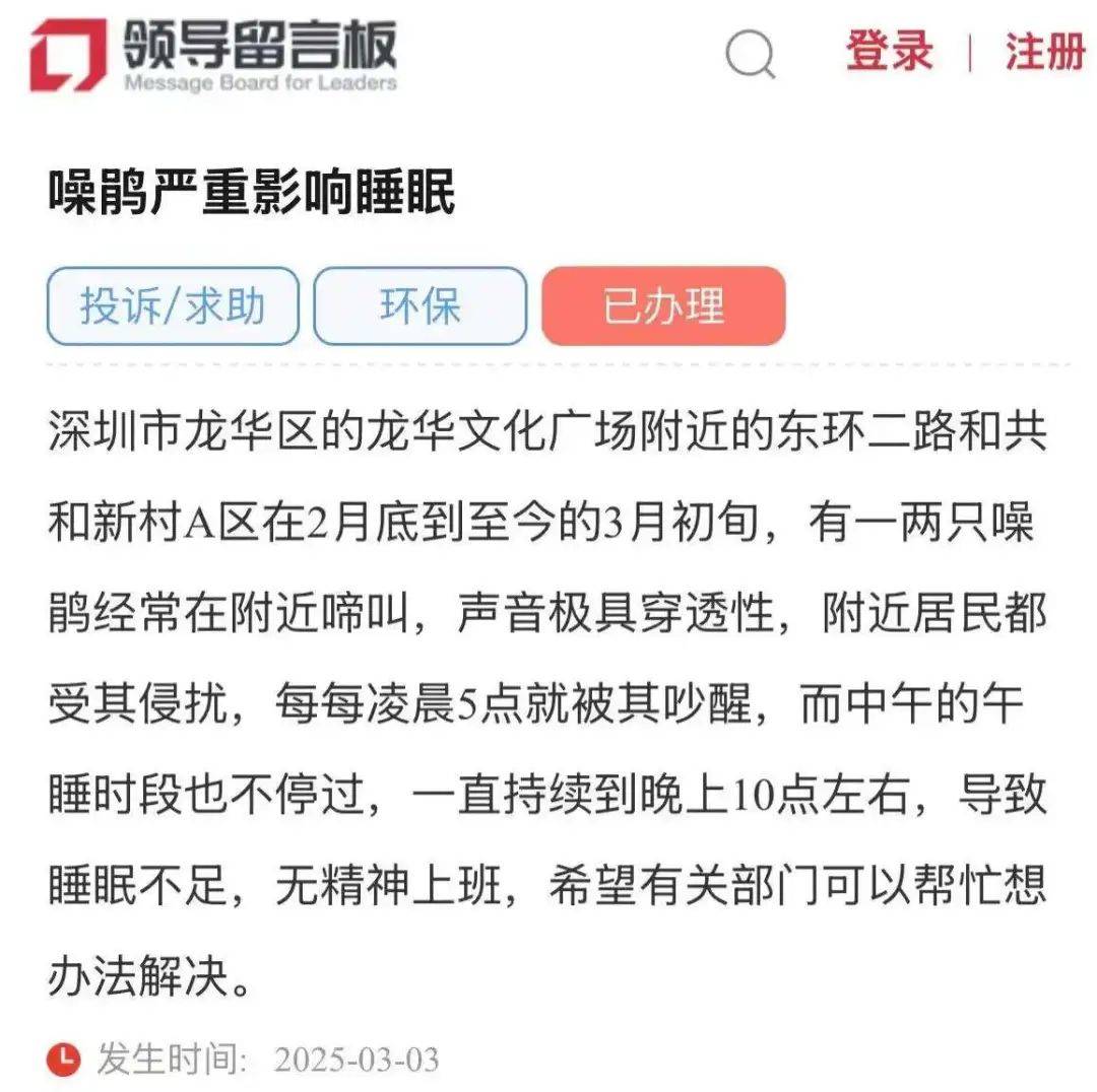 “周末想睡个懒觉都不行”，有多少深圳人被这种鸟吵到神经衰弱