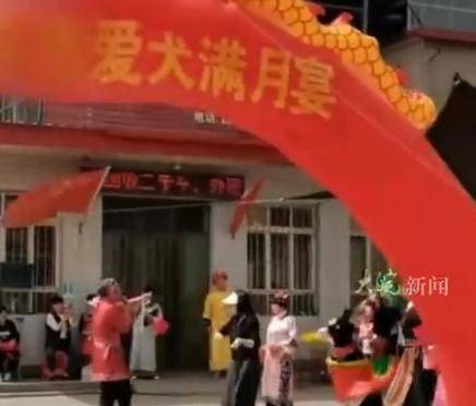 河北一店铺给狗办满月宴引争议，当事人：不是炒作，只是爱狗