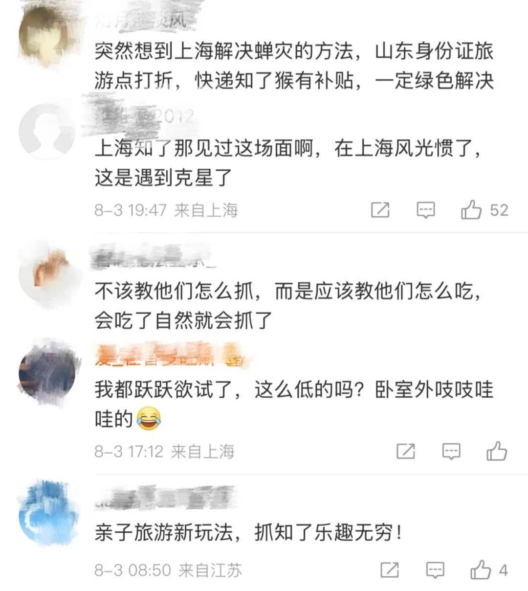 山东父子在上海抓知了降维打击，“孩子一分钟徒手抓了十几只”