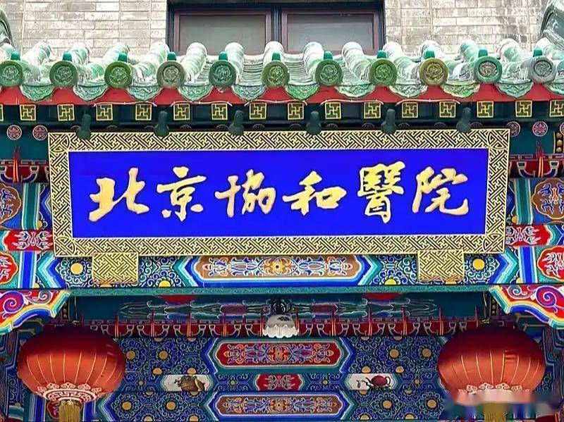 “绝不姑息!”官方通报董小姐调查结果,新华社强硬发声