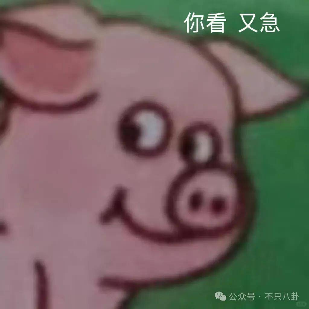 让46岁的老婆给他生二胎？这姐别是又跳进一个火坑了吧……