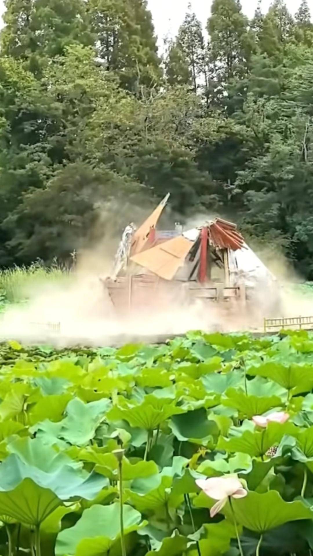 青岛中山公园一凉亭突然倒塌：一年前刚完成修缮，园方称无伤亡原因待查