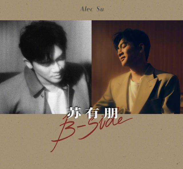 苏有朋音乐会普通票不能合影,本人回应