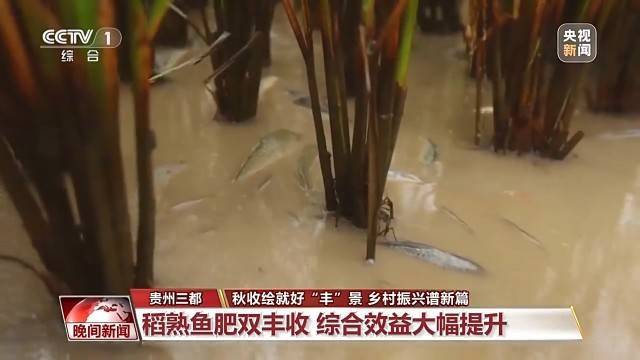 金秋时节好“丰”景 田间地头抢收忙