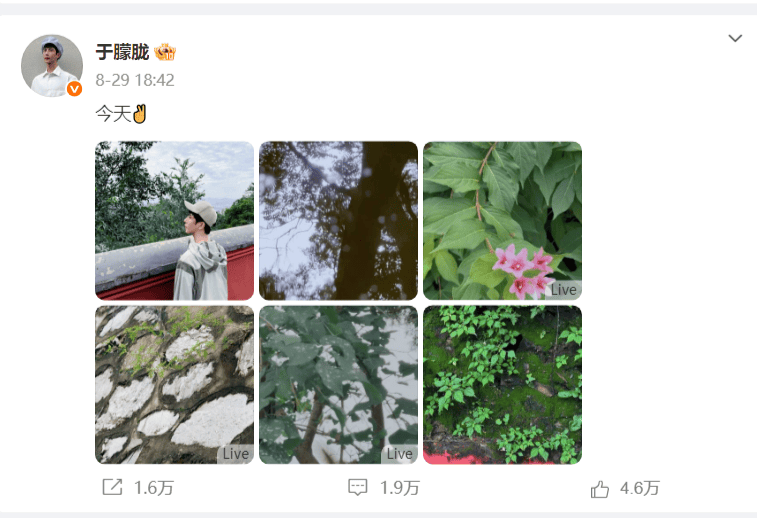 考古|于朦胧因坠楼身亡！选秀出道被赞是古装男神，他才37岁怎会这样
