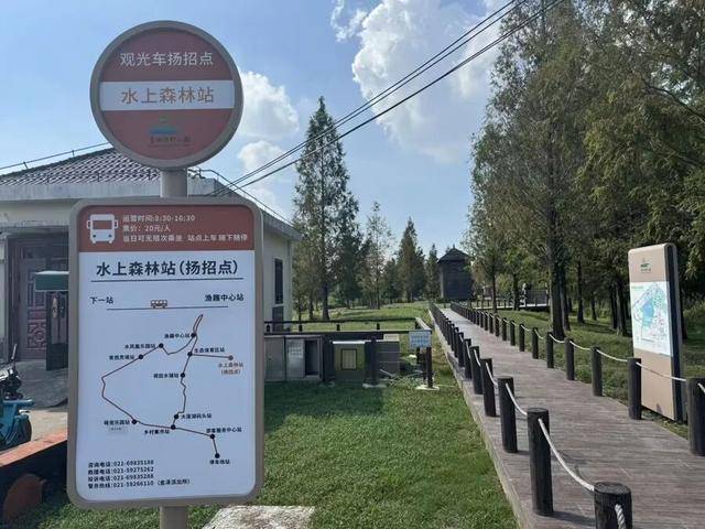 上海著名地标宣布：24小时内可免费停车！