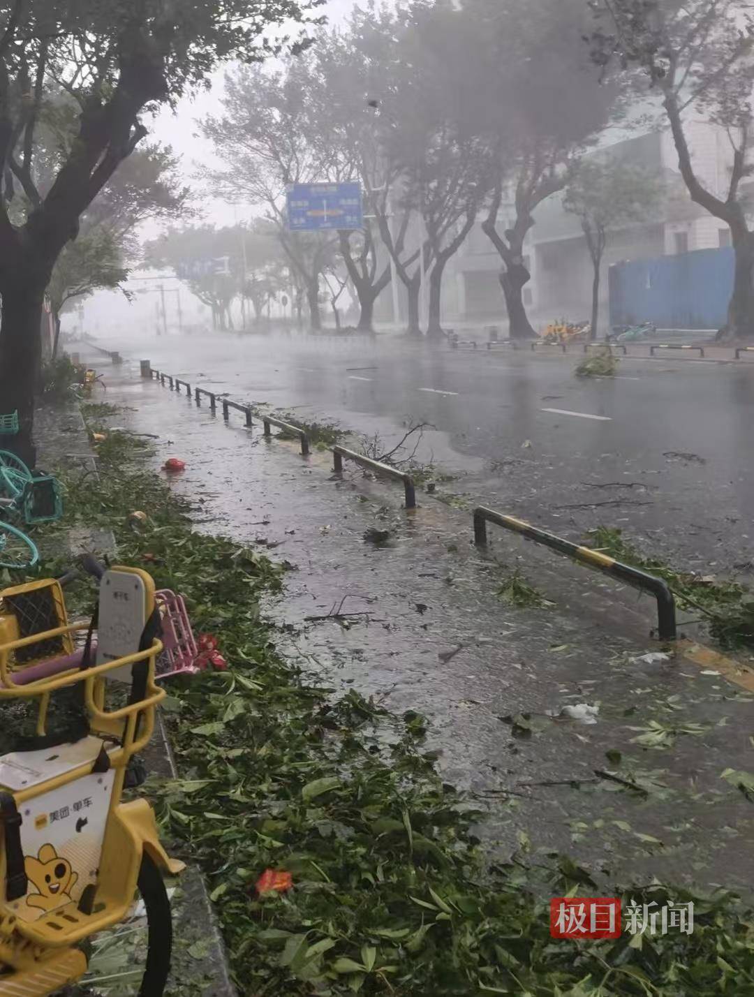 台风桦加沙袭击珠海：记者眼镜被大风吹跑，街边树枝断落，单车成排倒地