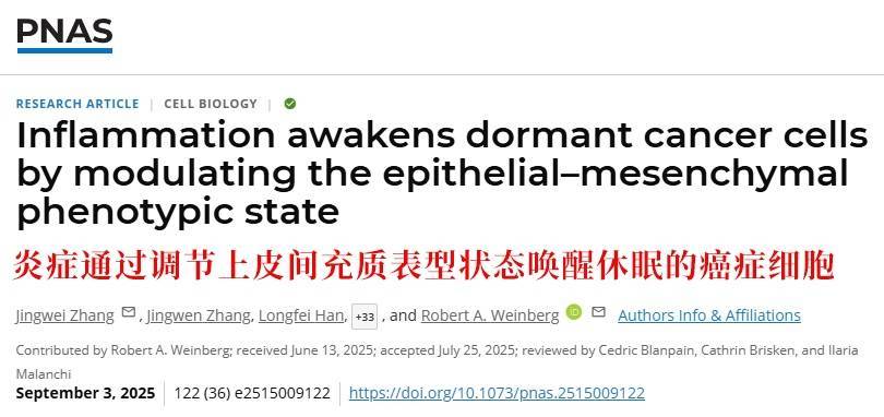 长期炎症会“唤醒”癌细胞！这份抗炎指南每个人都该看看