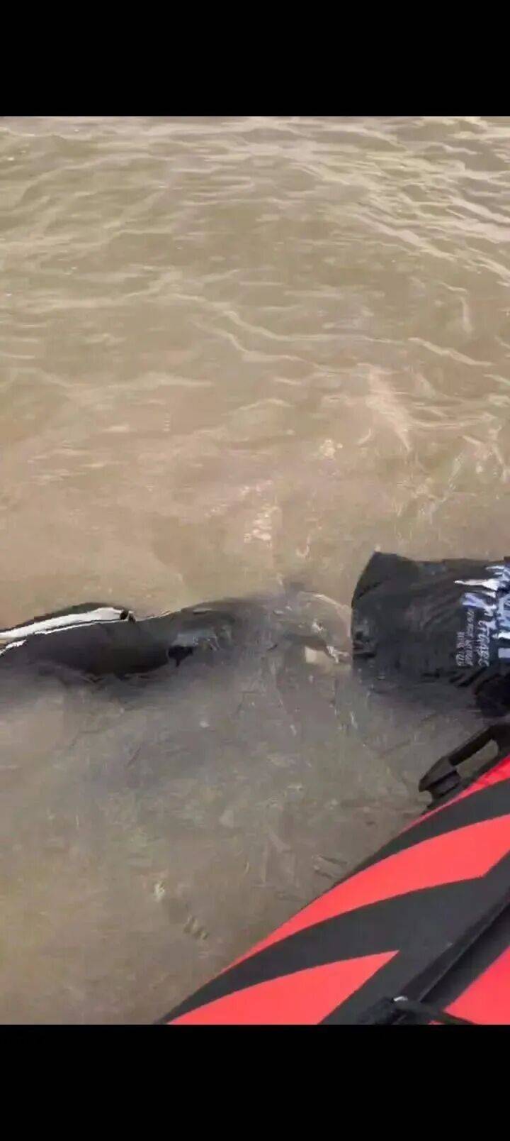 230斤重小伙酒后落水，漂浮7小时终获救……