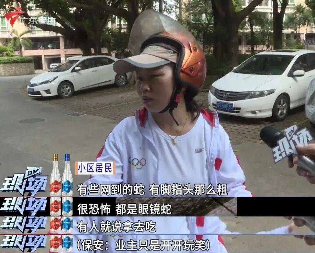 广州一小区2年抓到超60条蛇？业主：家里来过两三条，物业回应