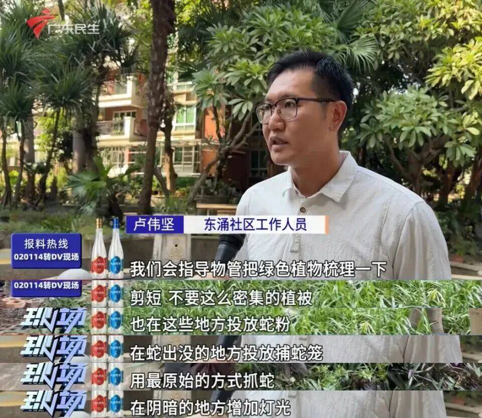 广州一小区2年抓到超60条蛇？业主：家里来过两三条，物业回应