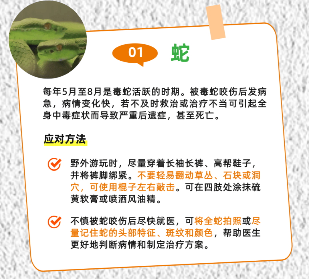广州一小区2年抓到超60条蛇？业主：家里来过两三条，物业回应