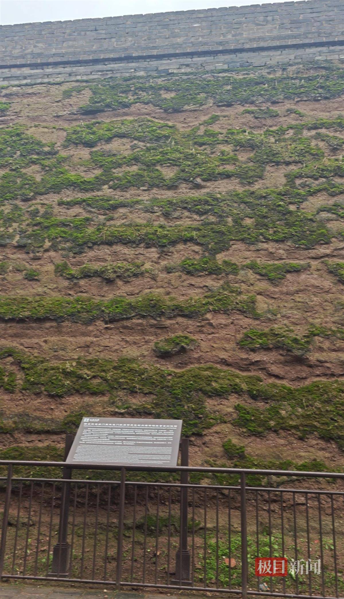 西安连续一个多月降雨遍地长蘑菇，大雁塔受潮，城墙布满青苔，气象局解释成因