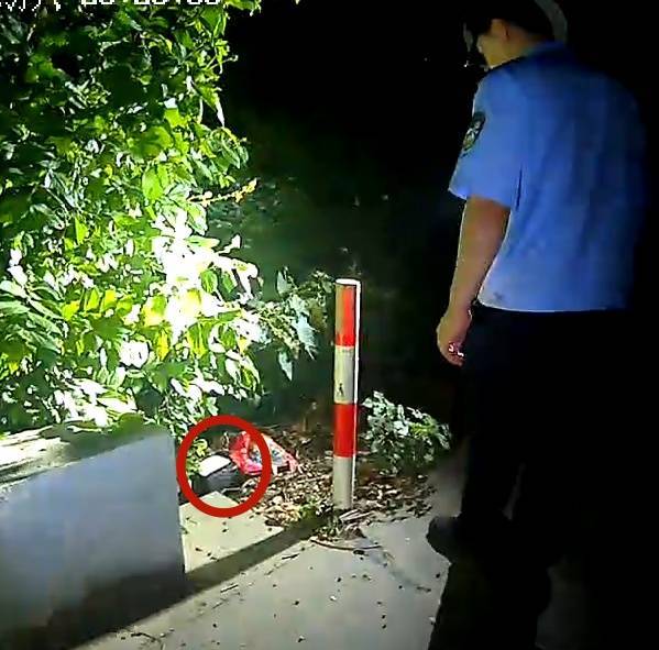 浙江一姑娘以奶茶为记号，竟然在草丛里藏了11万现金！