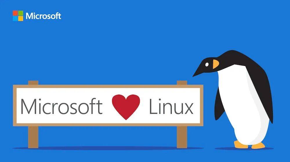 Windows 10彻底死了，多少“系统钉子户”还舍不得更新