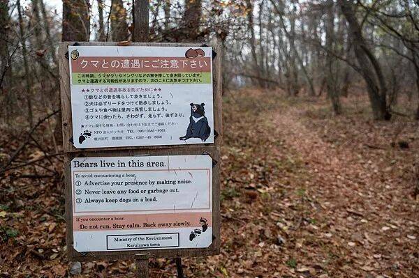 日本遭遇“熊灾”!已致10人死亡,创历史新高