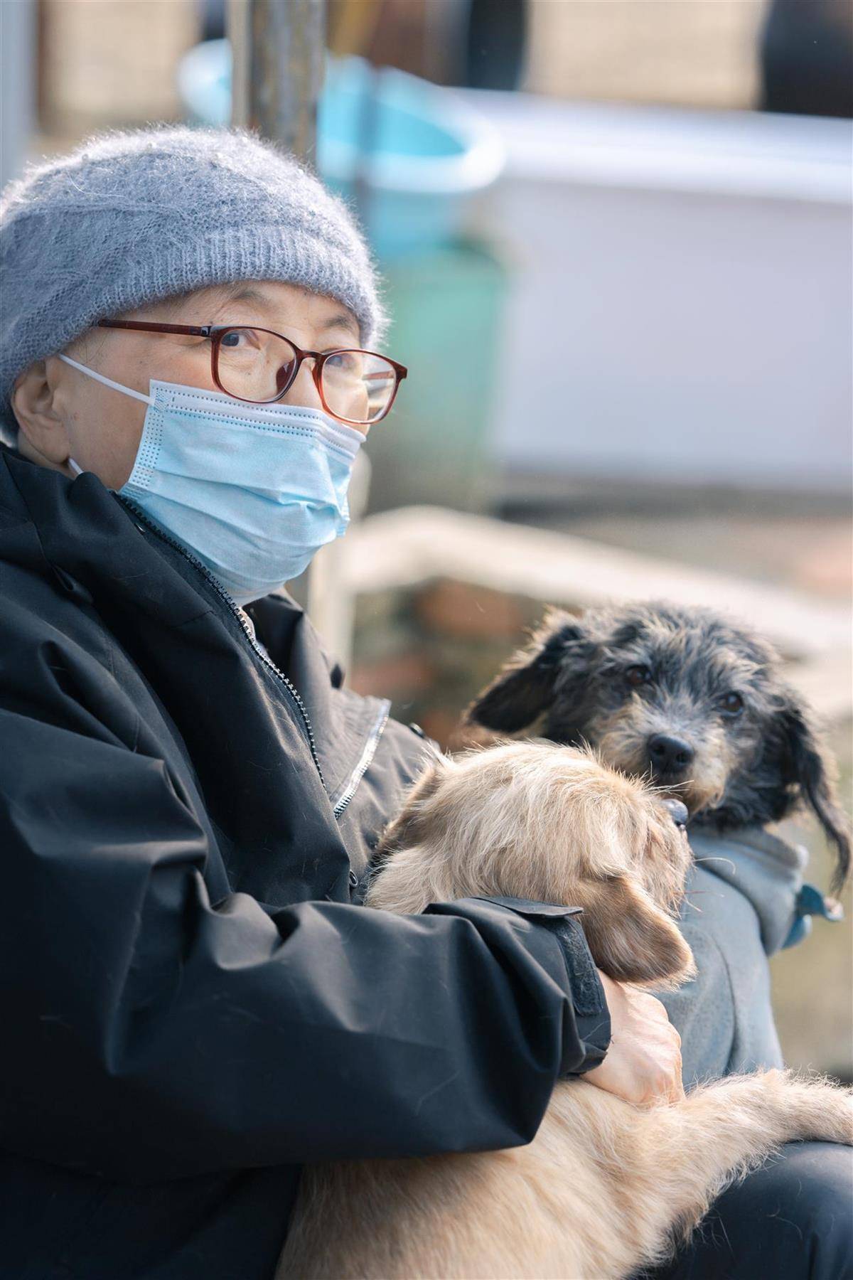 合肥卖房救助流浪狗的魏阿姨离世，病中仍然惦记着基地的600只流浪狗，工人：不敢相信世上还有这样执着的人