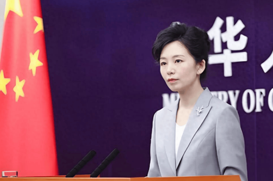 中方下了“最后通牒”！认定荷兰100%担责，再不悔改一切后果只能自负