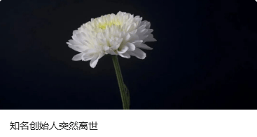 跨境网赌头目佘智江（湖南出生，后获柬埔寨国籍），被引渡回中国