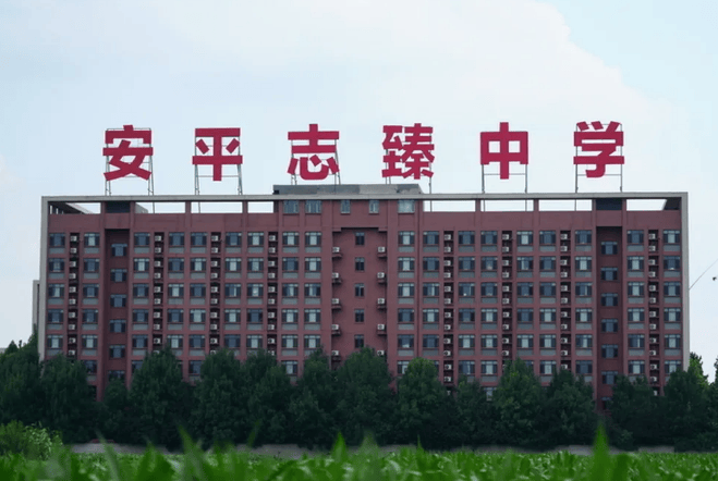 多名公职人员2元买走8亿股权？衡水名校被掏空 退休干部成“影子股东”