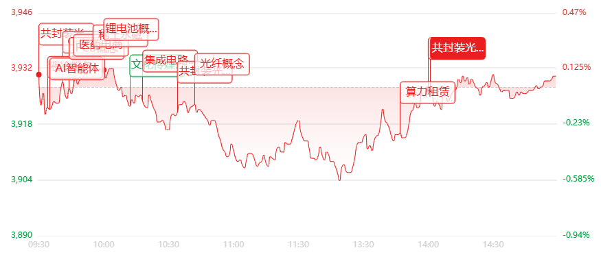 收评：创业板领涨大盘，赛道板块多点开花，高位题材股迎来集中回调