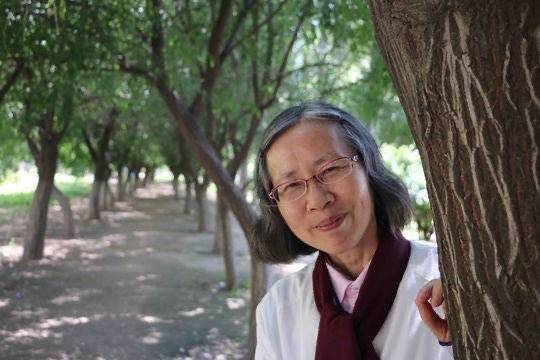 2026年诺贝尔文学奖今晚揭晓，中国作家残雪登顶诺奖赔率榜